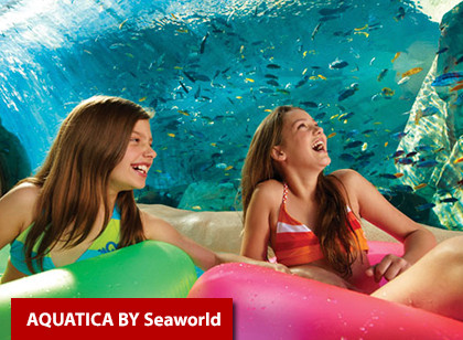 SeaWorld Two Park Ticket - 3 anos ou +